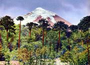 05-In-den-Gebirgen-Ecuadors-Sdamerika