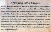 01-Affenfang