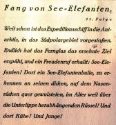 01-See-Elefanten