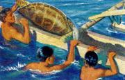 10-Schildkrotenfang