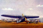 06-Focke-Wulf-A-21---Photo-Mowe