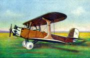 03-BFW-U-12b---Flamingo