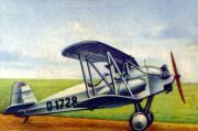 06-Focke-WjulfS-24-A---Kiebitz
