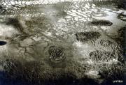 161-Sumpftaiga-an-der-Tunguska
