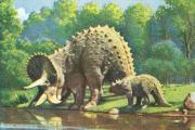 03-Triceratops-mit-Jungen