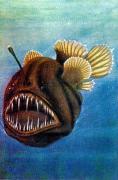 03-Krechs-Stachelrachen---Melanocetus-krechi-A-Brauer