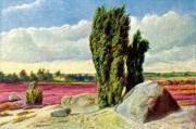 01-Steinmal-im-Naturschutzpark-der-Lneburger-Heide