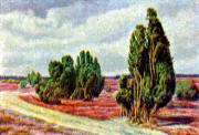 03-Wacholdeer-im-Naturschutzpark-der-Lneburger-Heide