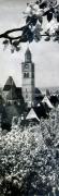 10-berlingen-am-Bodensee