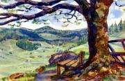01-Menzenschwand---ein-Idyll-am-Feldberg