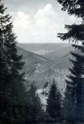03-Tannen-und-berall-Tannen