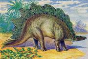 01-Stegosaurus