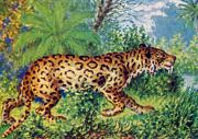 03-Sabeltiger
