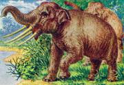 05-Mastodon