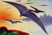 06-Pteranadon