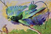 02-Blauer-Paradiesvogel