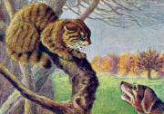 06-Wildkatze