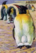 05-Kaiserpinguin