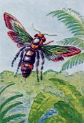 04-Dolchwespe