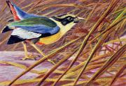 06-Neunfarbenpitta