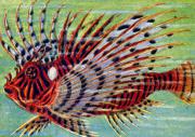 06-Rotfeuerfisch