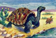 05-Elefantenschildkrote