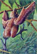 03-Schopfhuhn