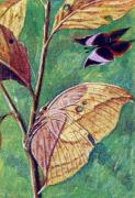 05-Blattschmetterling