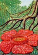 01-Sumatranische-Riesenblume